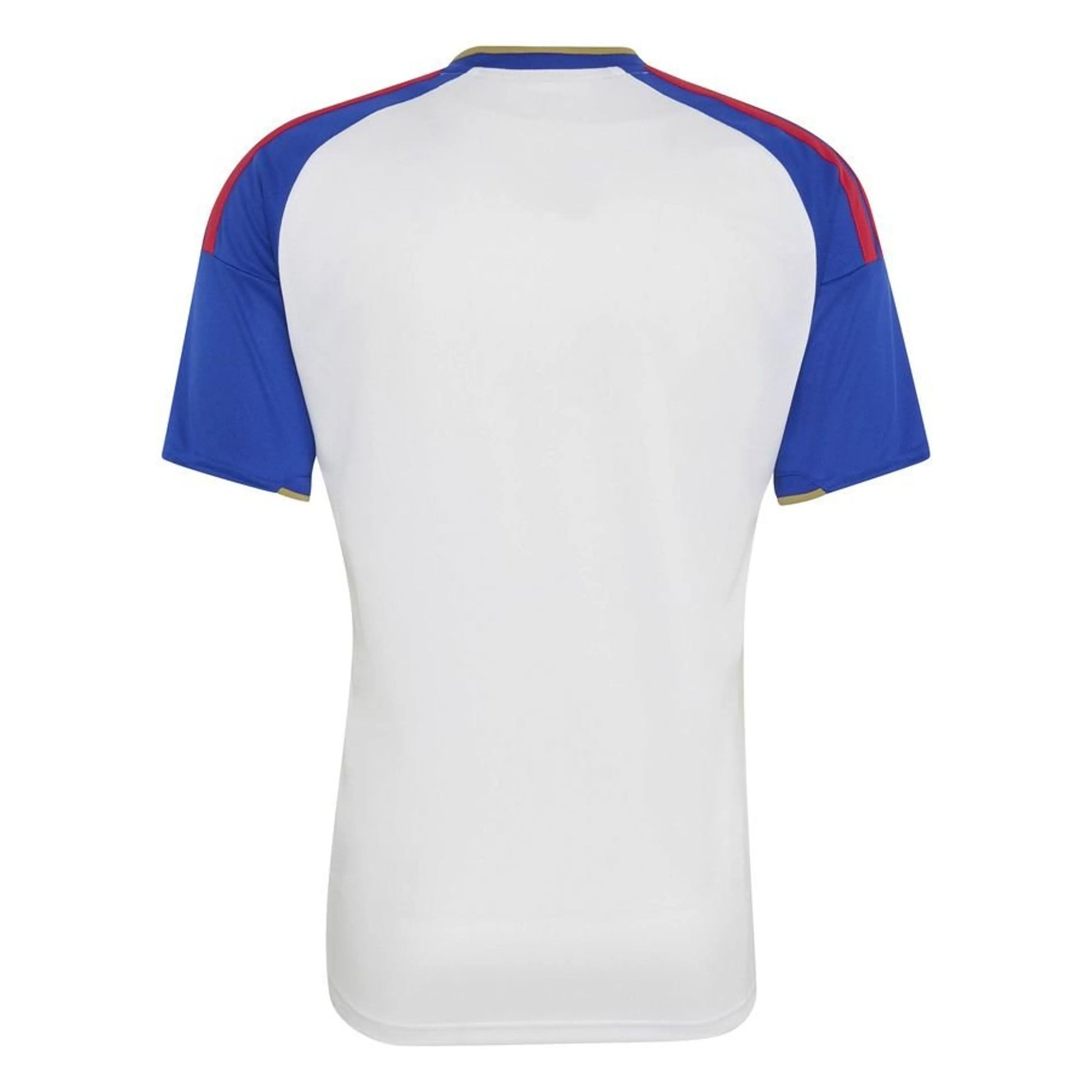 Lyon 26/27 Home Kit